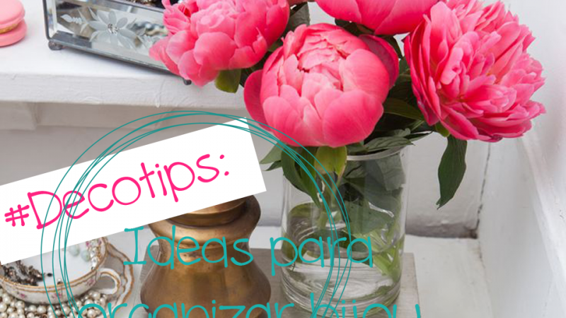 Ideas para organizar bijou